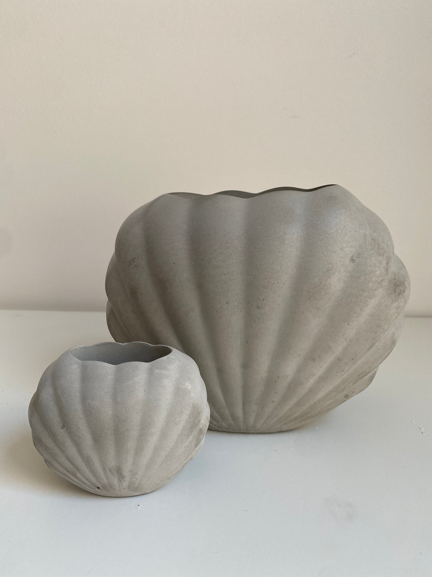 Large Concrete Shell Vase | Scallop Seashell Display Bud Vase | Decorative Home Decor