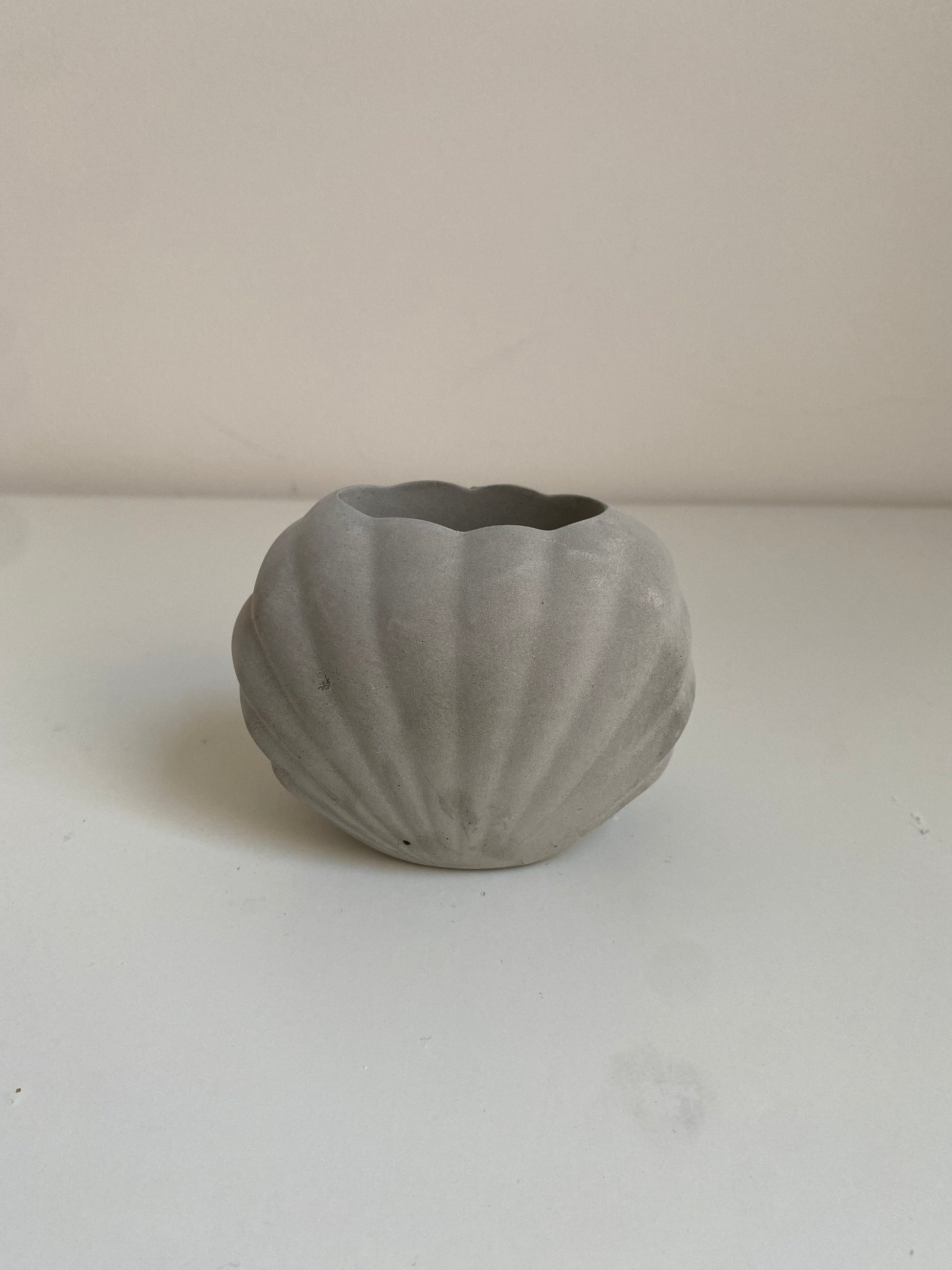 Large Concrete Shell Vase | Scallop Seashell Display Bud Vase | Decorative Home Decor