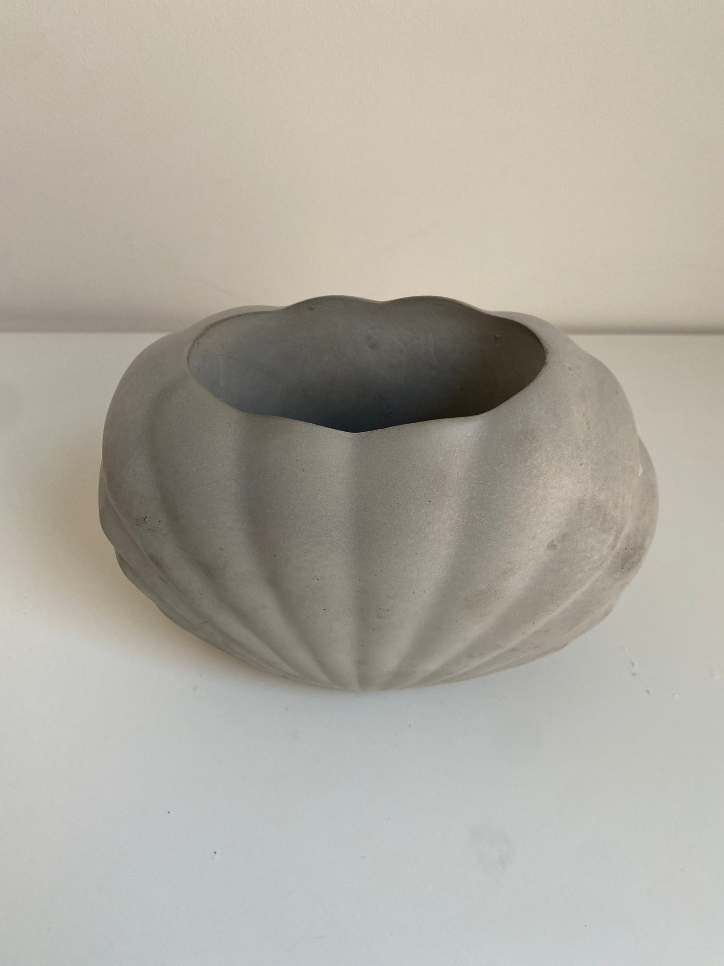 Large Concrete Shell Vase | Scallop Seashell Display Bud Vase | Decorative Home Decor