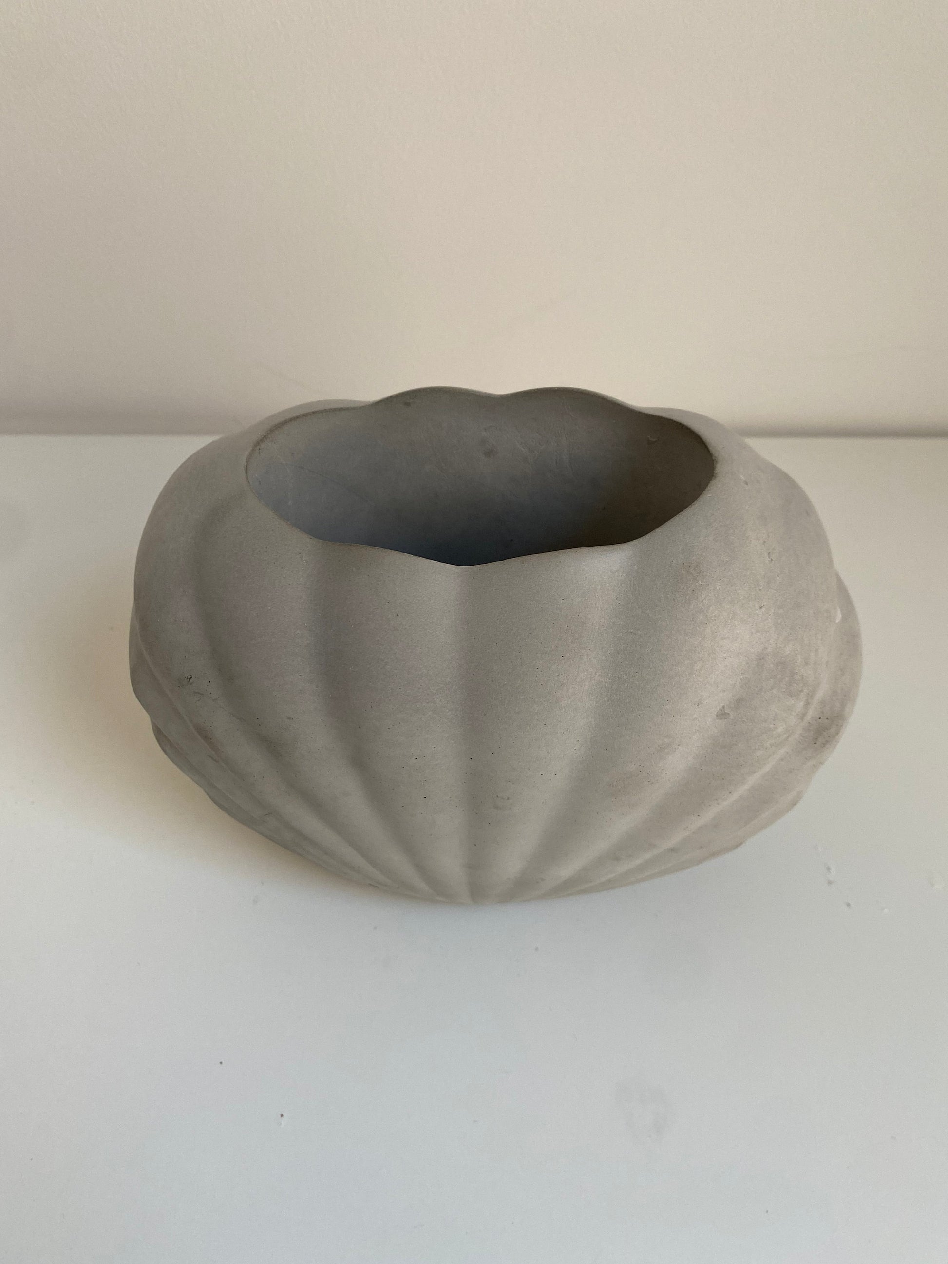 Large Concrete Shell Vase | Scallop Seashell Display Bud Vase | Decorative Home Decor