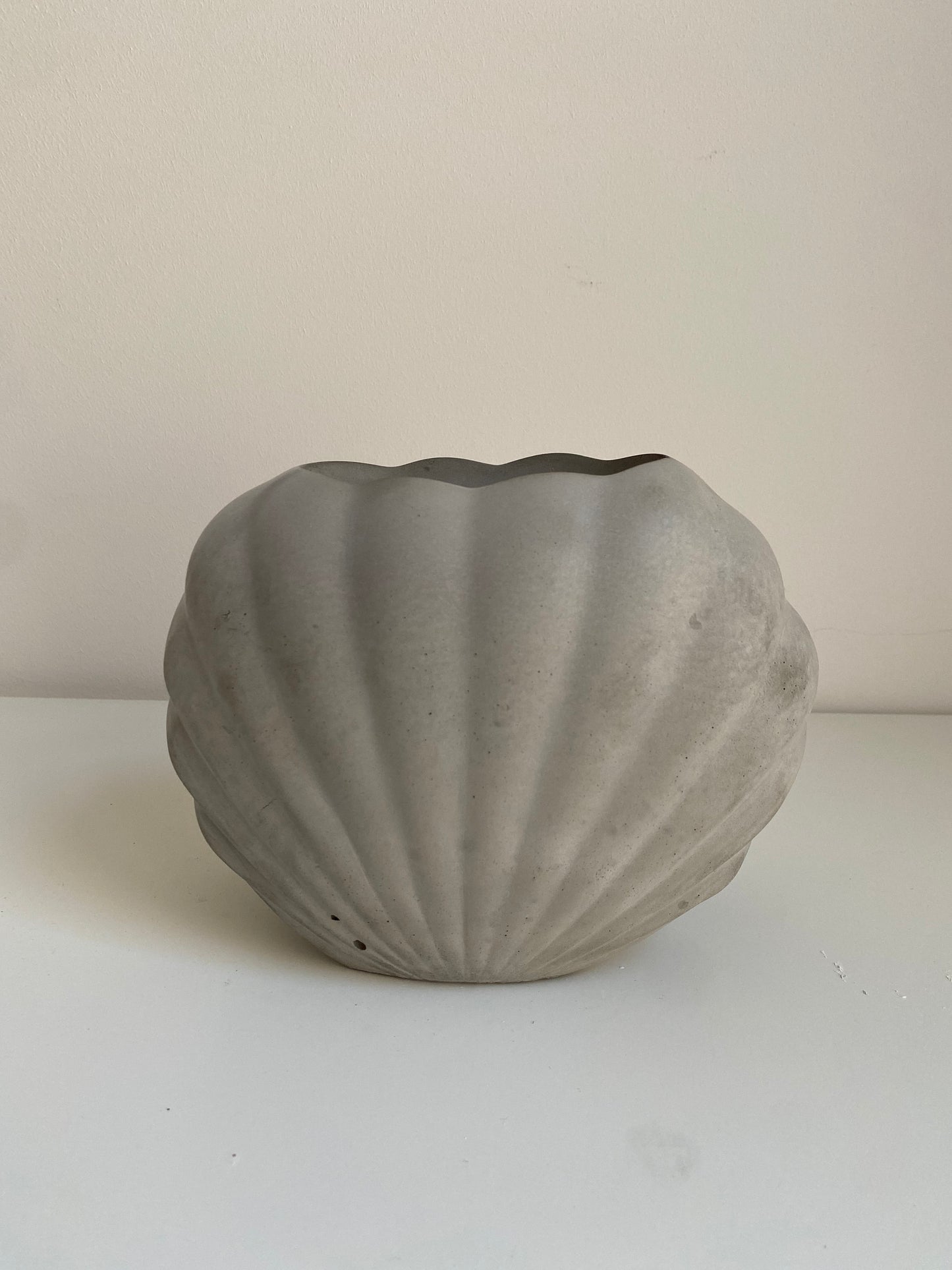 Large Concrete Shell Vase | Scallop Seashell Display Bud Vase | Decorative Home Decor