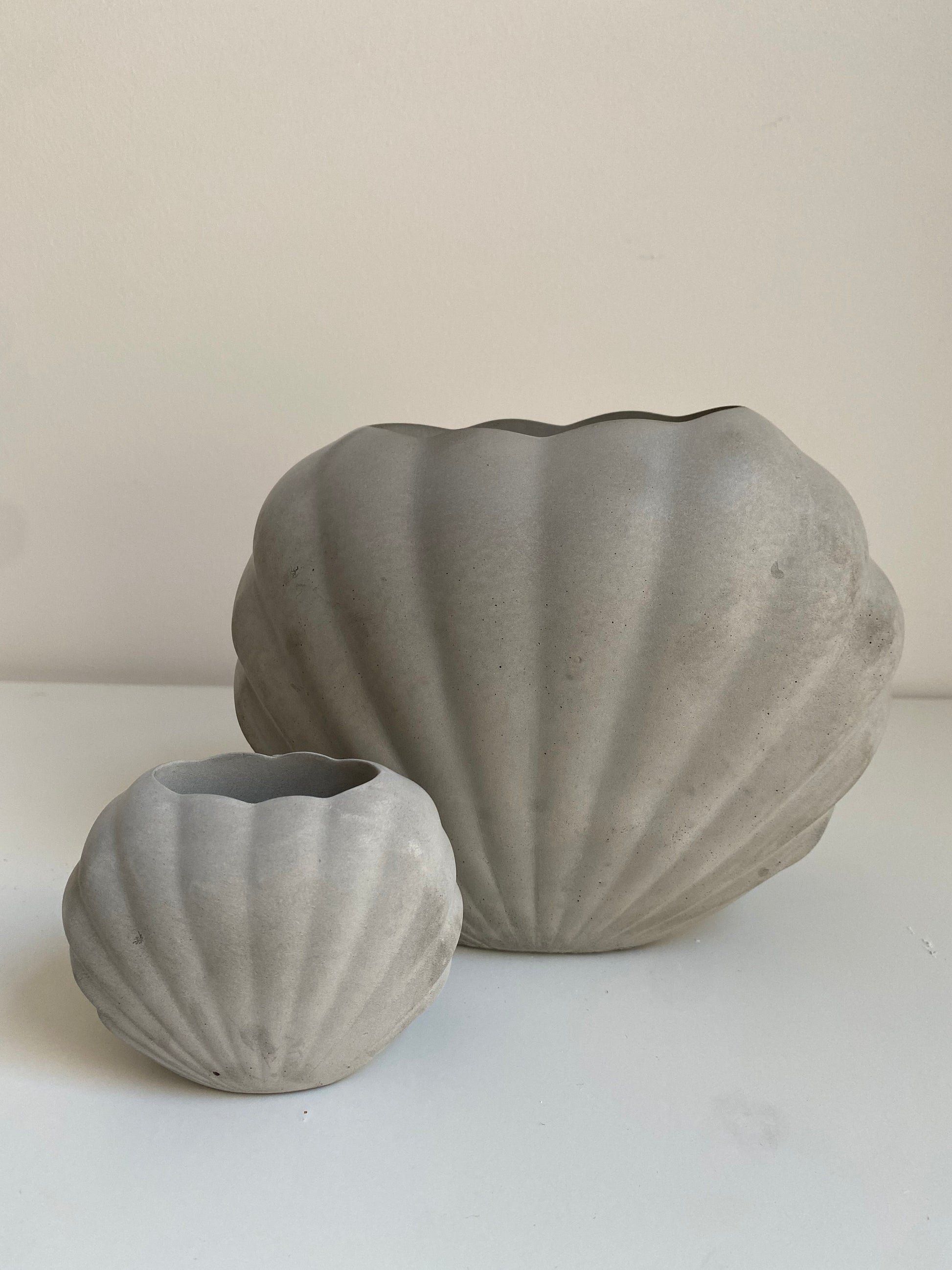 Large Concrete Shell Vase | Scallop Seashell Display Bud Vase | Decorative Home Decor