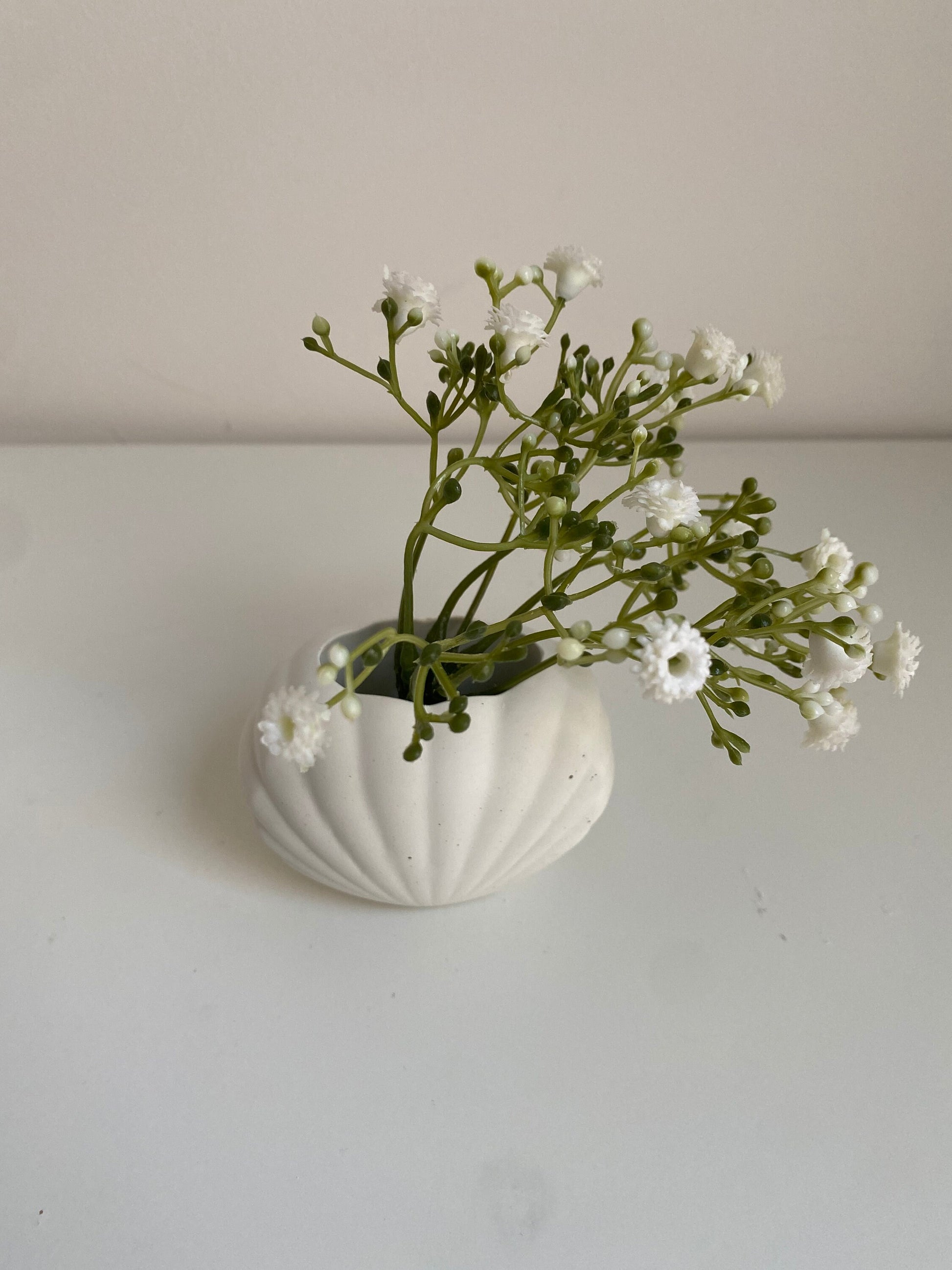 Small Concrete Shell Vase | Scallop Seashell Display Bud Vase | Decorative Home Decor