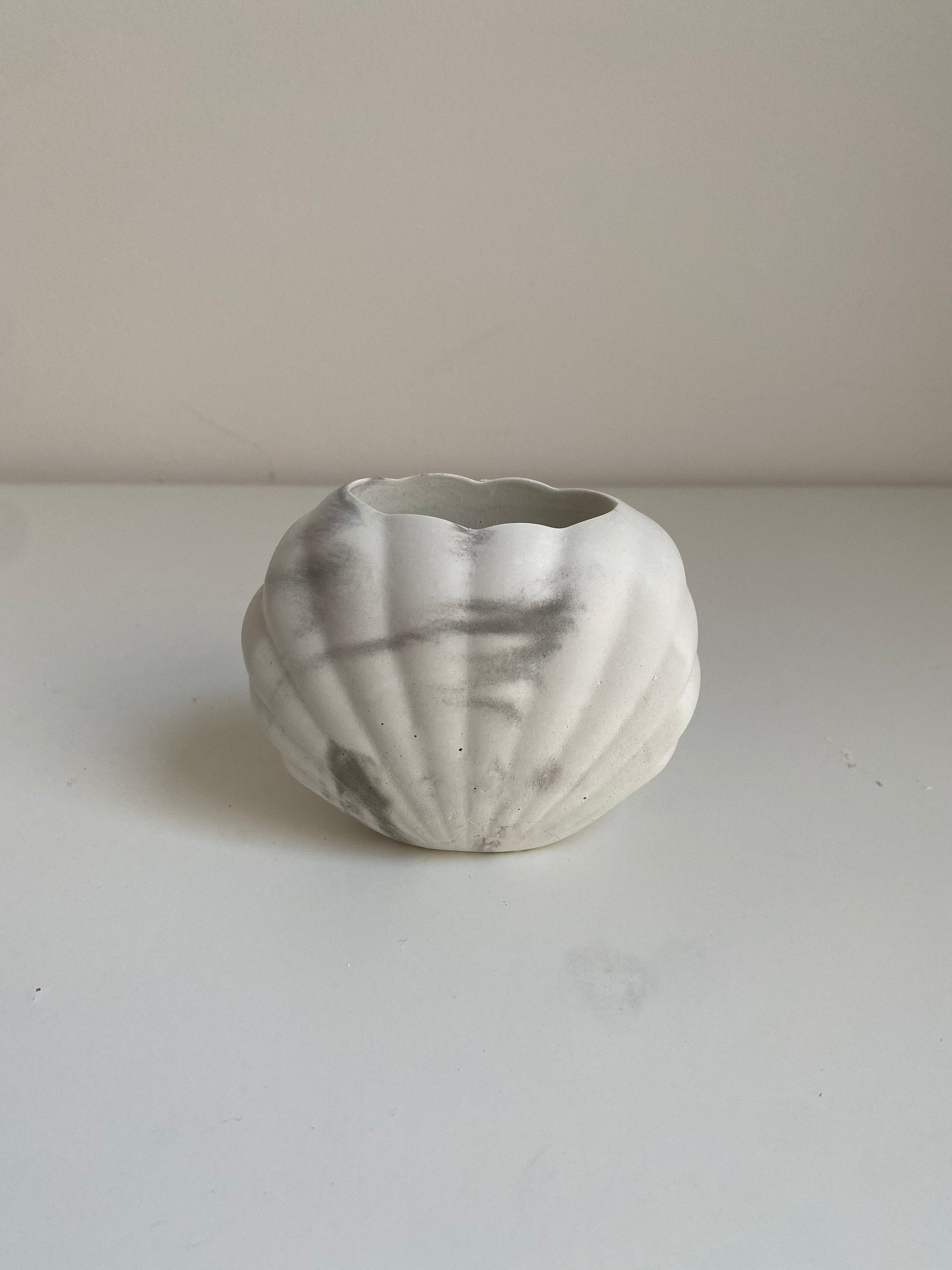 Small Concrete Shell Vase | Scallop Seashell Display Bud Vase | Decorative Home Decor