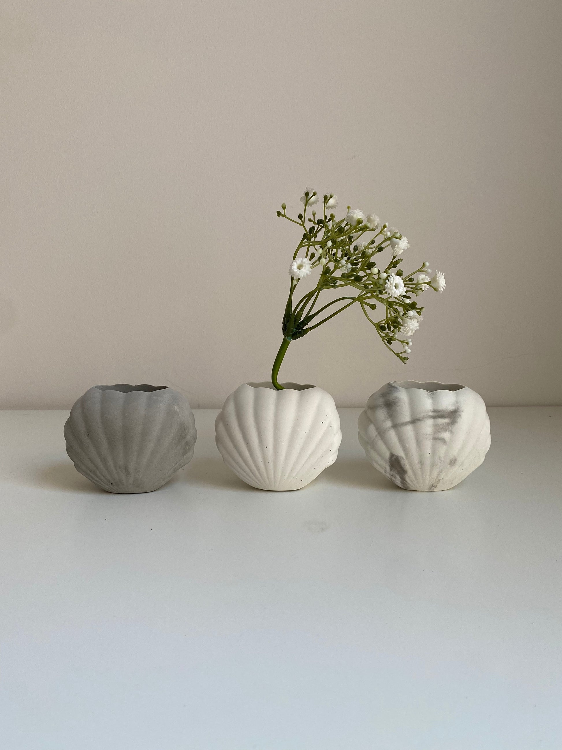 Small Concrete Shell Vase | Scallop Seashell Display Bud Vase | Decorative Home Decor